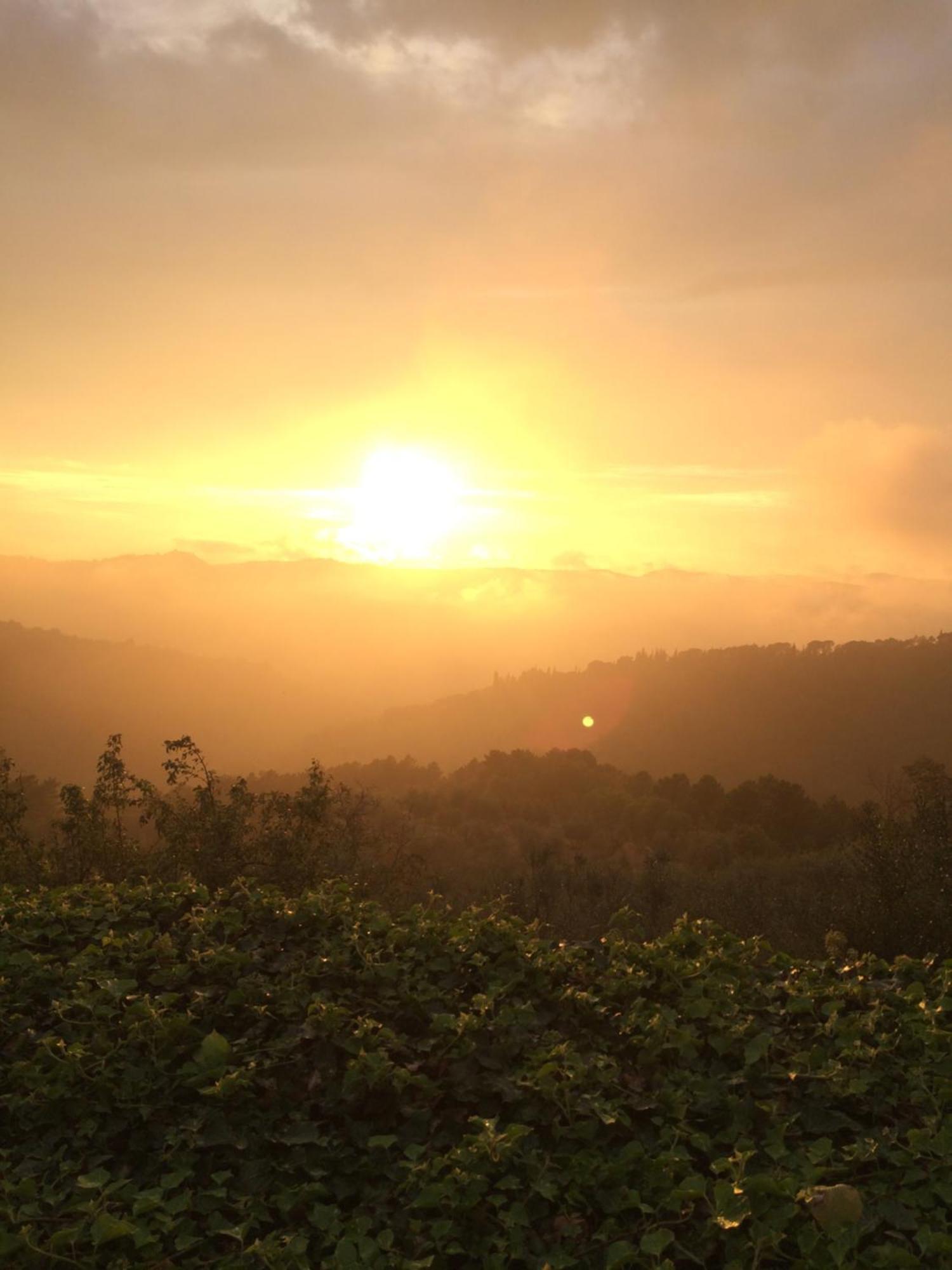 Podere Campolungo Greve in Chianti Exteriér fotografie