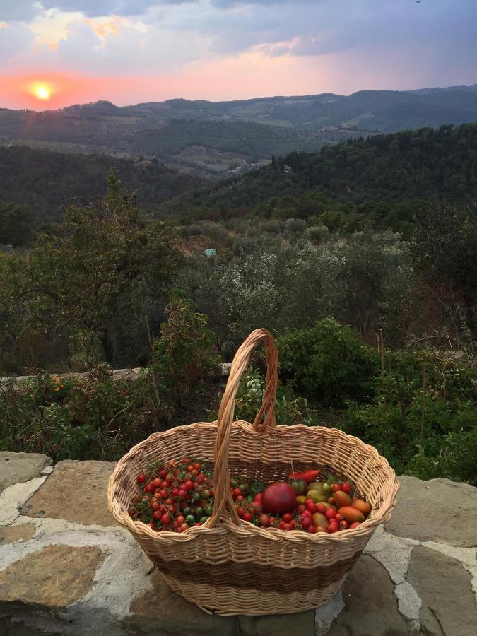 Podere Campolungo Greve in Chianti Exteriér fotografie