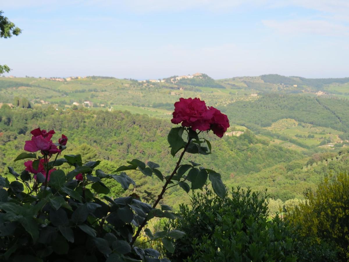 Podere Campolungo Greve in Chianti Exteriér fotografie
