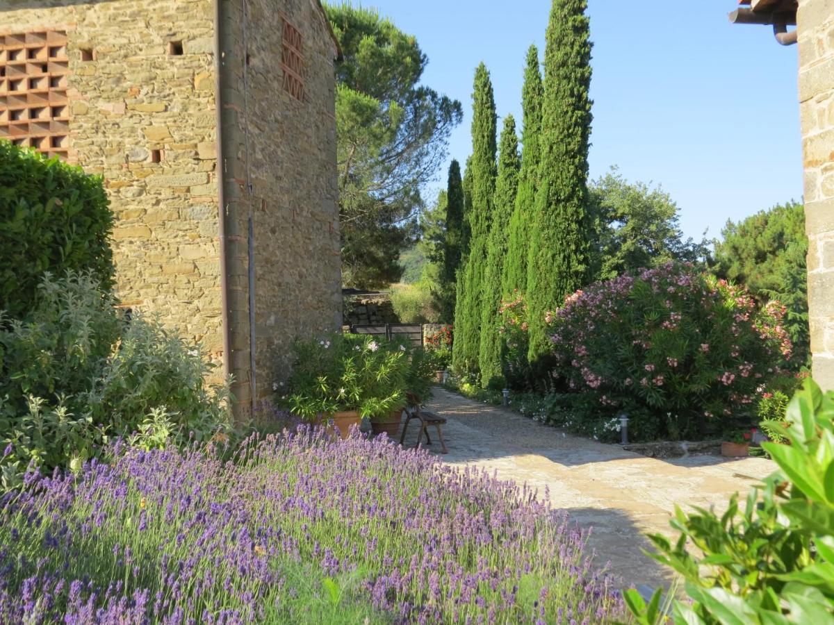 Podere Campolungo Greve in Chianti Exteriér fotografie